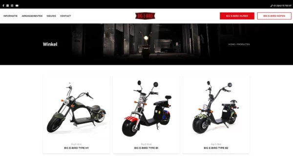 Big E-bird Leende - Blok56 - ontwerp van logo, huisstijl en website